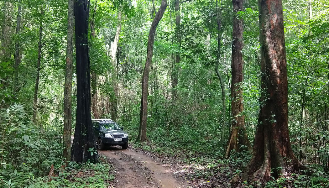 Trek / Jeep Safari